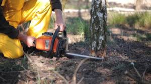 Best Weed Control  in Adwolf, VA