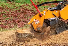 Best Seasonal Cleanup (Spring/Fall)  in Adwolf, VA